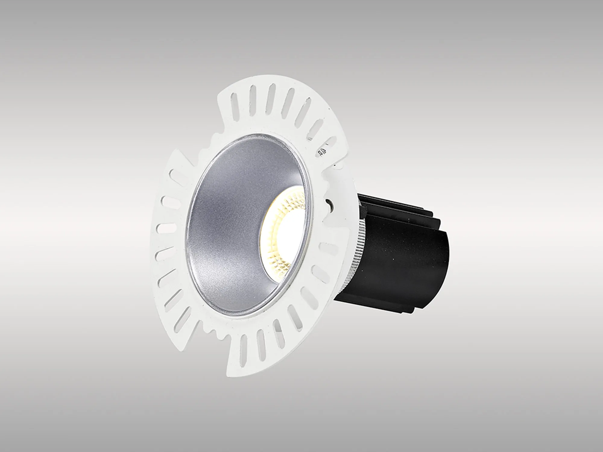 DM201857  Basy A 12 Tridonic Powered 12W 2700K 1200lm 24° CRI>90 LED Engine Silver Adjustable Recessed Spotlight, IP20